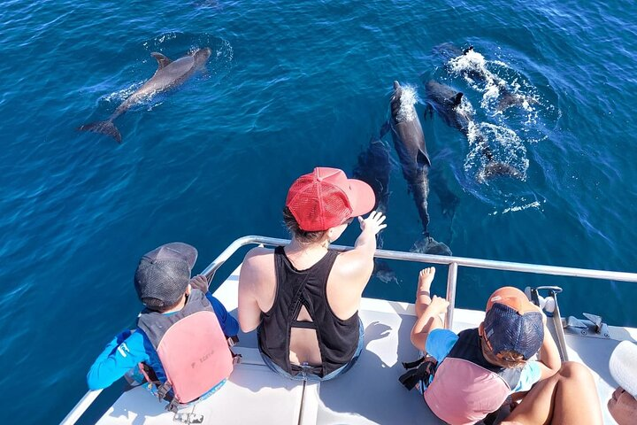 Half-Day Dolphin Watching and Snorkeling in Samara - Photo 1 of 6